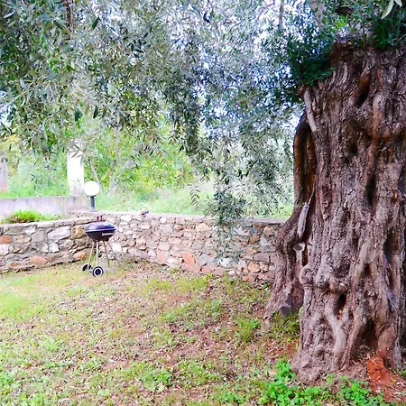 Blue Sky 度假居 *